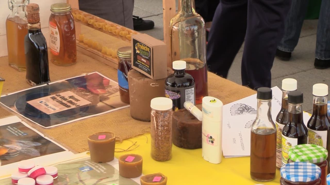 Participaron de charlas y conversatorios.