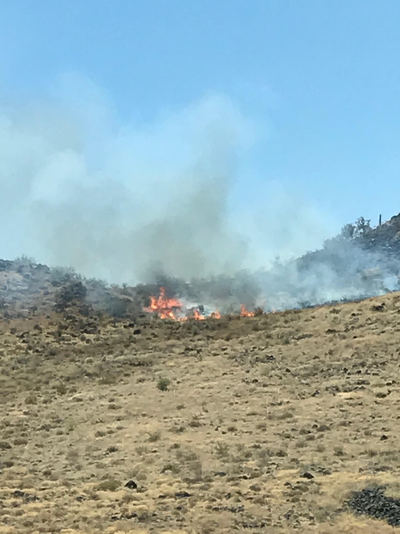 El incendio estalló por la mañana en la montaña Thunderbird, que se encuentra en el ‘Thunderbird Conservation Park’.
<br>