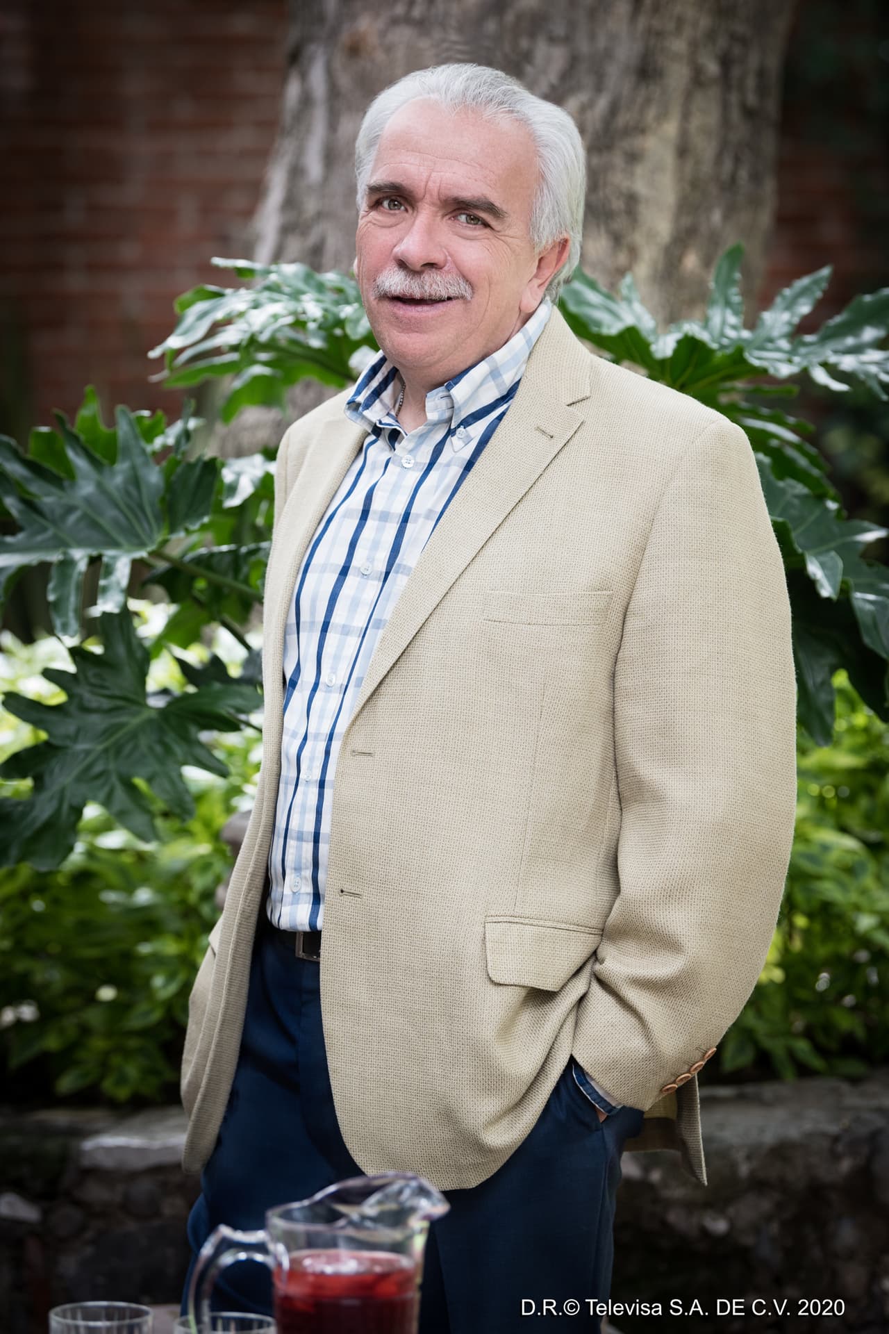 El actor
<b>José Elías Moreno</b> dará vida a Joaquín, el patriarca de los Falcón, cuyo pasado tendrá gran importancia en la manera en que sus hijos y su esposa vivirán el presente.