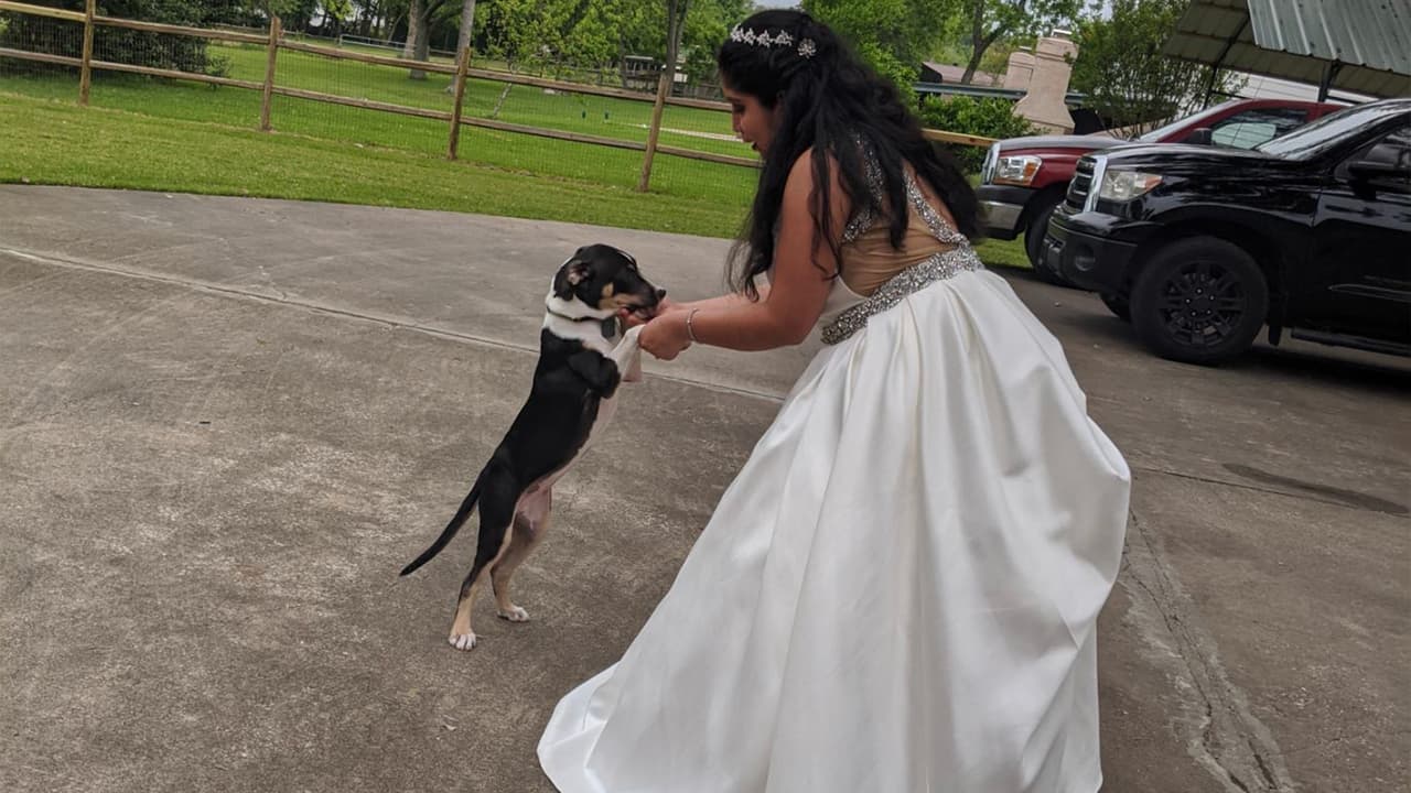 La ceremonia tuvo una duración de 30 minutos y fue transmitida por
<a href="https://www.univision.com/temas/facebook">Facebook</a> Live. Asistieron 10 personas y el papá del novio fue el encargado de casarlos. Karen tuvo que posponer la fiesta hasta el 2021 porque dice que como buena latina, debe celebrar su
<a href="https://www.univision.com/temas/matrimonio">matrimonio</a>.