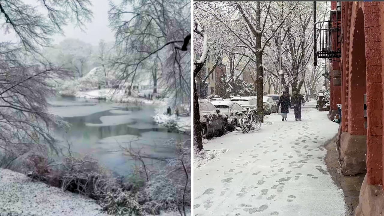 Así se vio la primera nevada fuerte de la temporada en NY; no ocurría tan pronto desde 2019