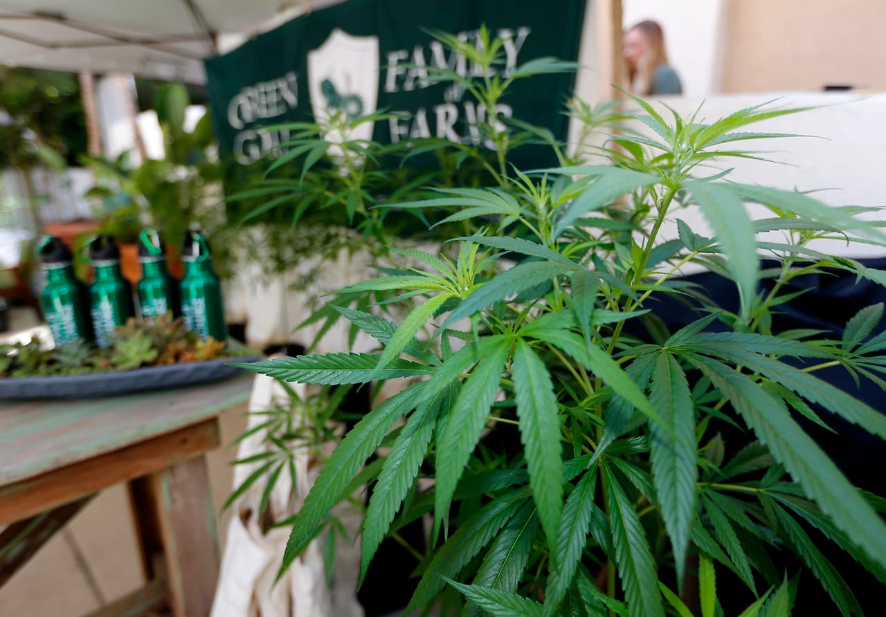 Este 1 de enero no solo marca el inicio de un año nuevo en California. La fecha también señala el comienzo de las ventas, cosechas y consumo legal de la marihuana con fines recreativos. Los economistas proyectan que este cambio significará ganancias de miles de millones para el estado.