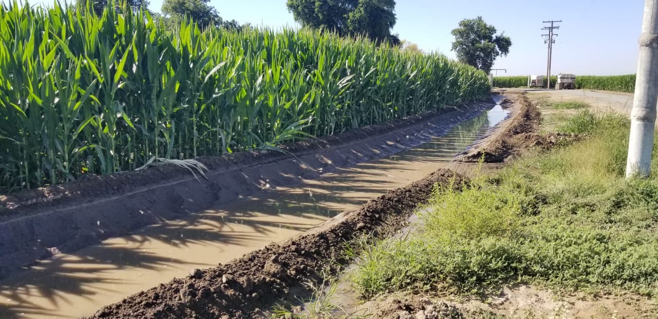 Zanja de riego en Portville, donde fueron encontrados los menores.