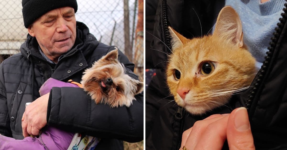 Fotos de ucranianos salvando a sus mascotas de la guerra están conmoviendo al mundo entero