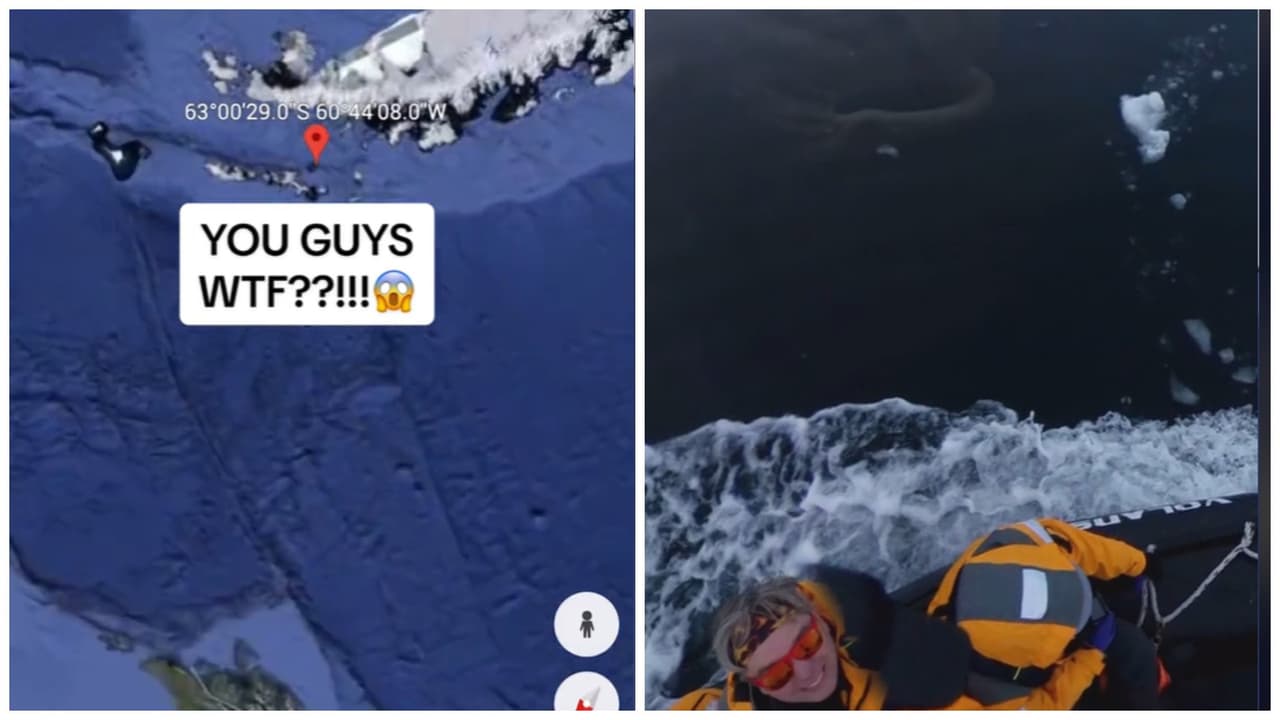 Captan extraña criatura en Google Maps.