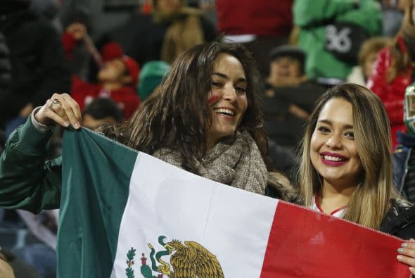 Te presentamos a las bellas aficionadas que han deleitado la pupila en la Copa América.