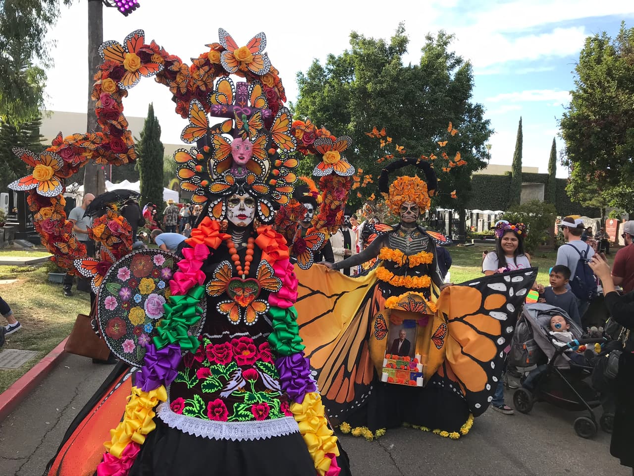 Las mariposas monarca migran cada año desde Canadá y Los Estados Unidos hasta sus santuarios en Michoacán, México.