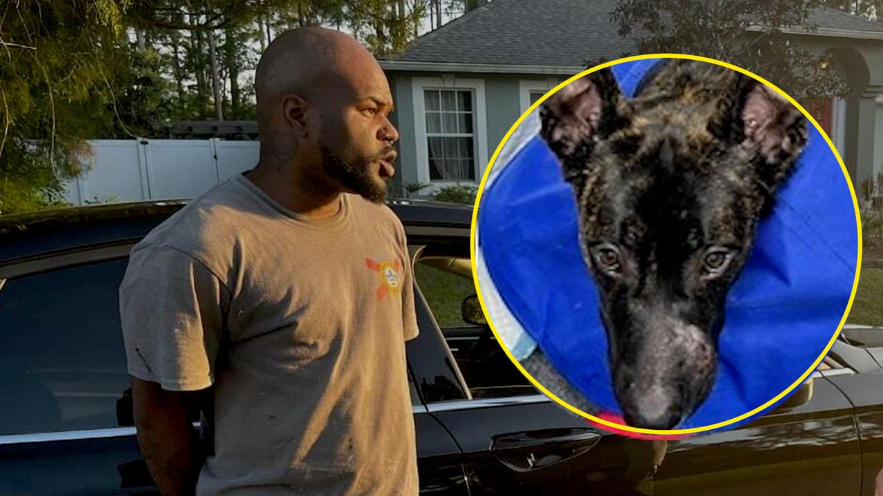 Hombre es acusado de maltrato animal; le disparó a un perro en el condado de Flager