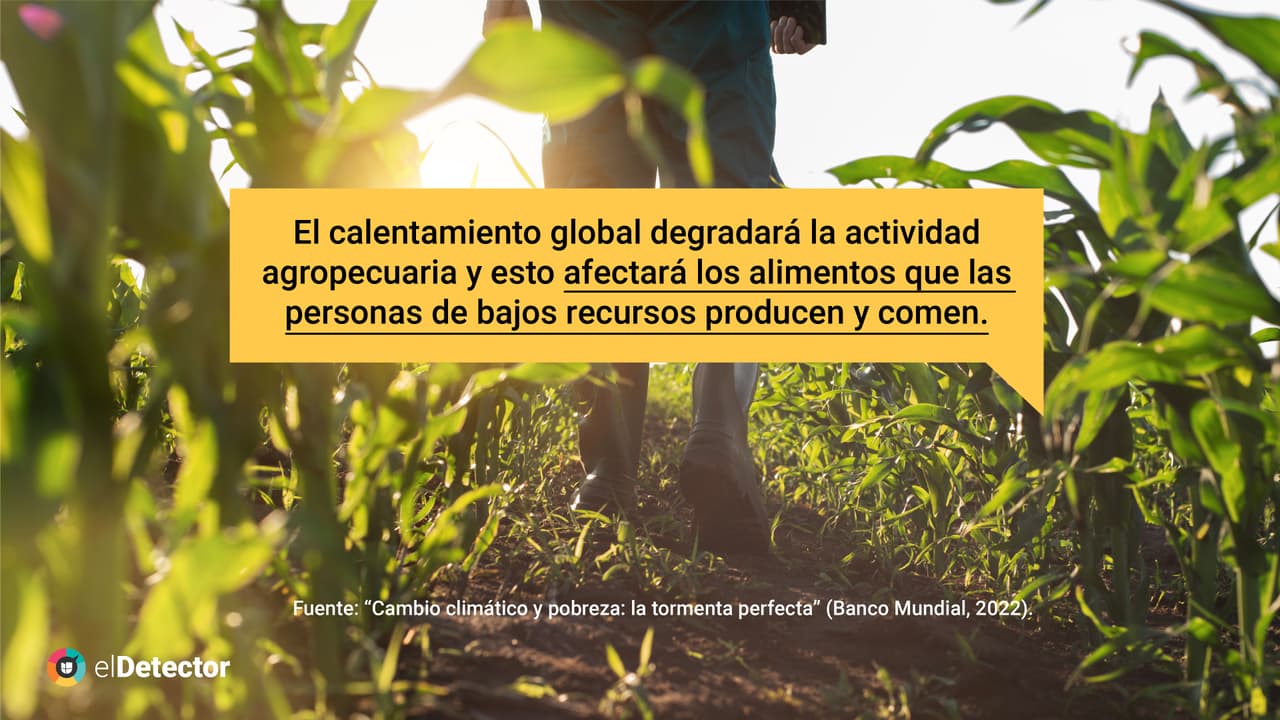 <b><a href="https://www.univision.com/noticias/verdad-comunidades-bajos-recursos-y-de-color-afectadas-cambio-climatico?utm_campaign=elDetector&utm_medium=social&utm_source=twitter" target="_blank">Lee aquí la verificación completa de elDetector.</a></b>