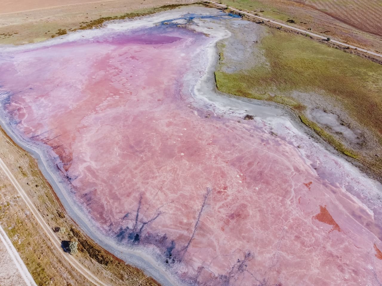 El lago rosado de sal, al oeste de australia.