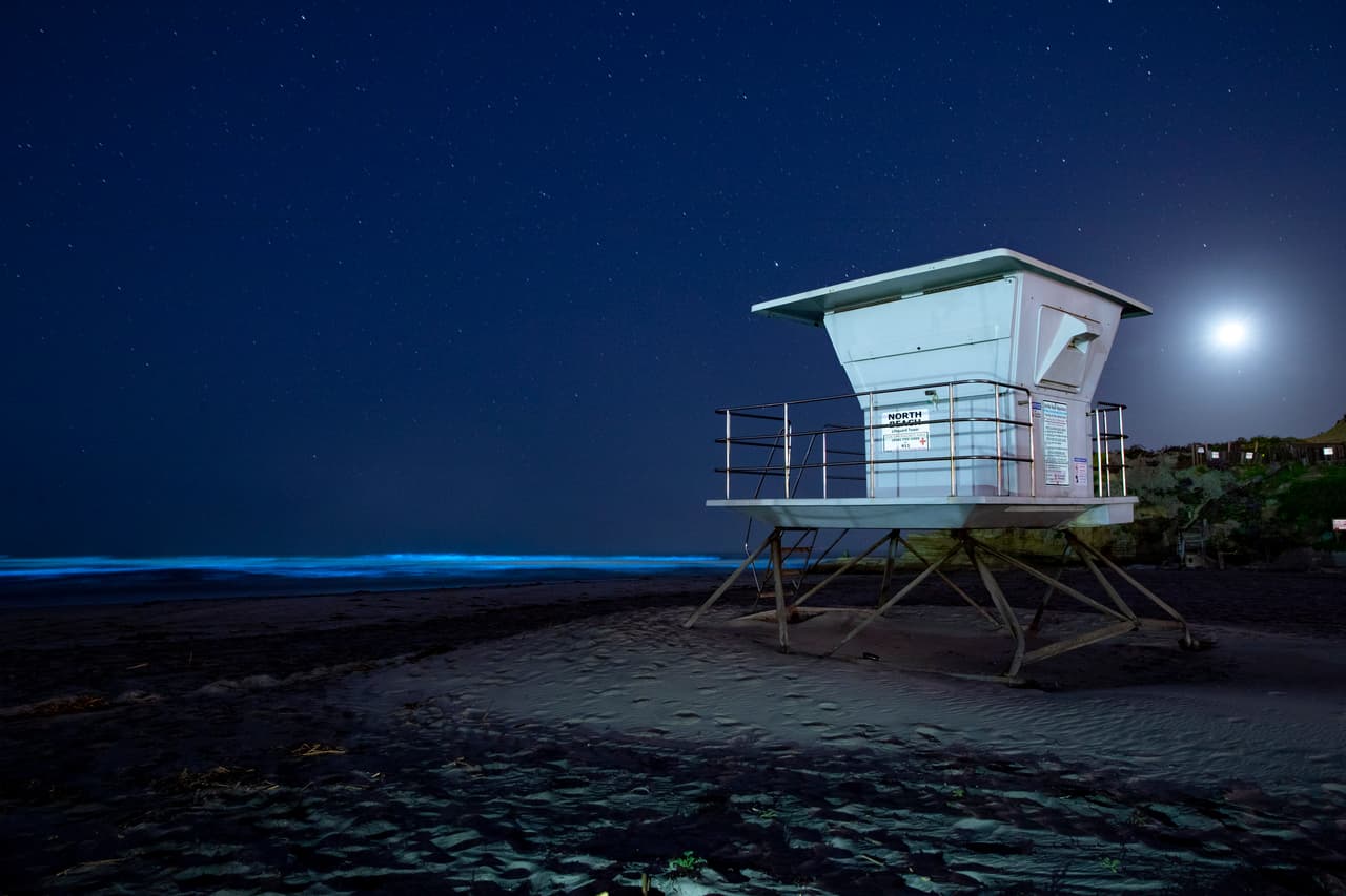 El
<a href="https://scripps.ucsd.edu/news/everything-you-wanted-know-about-red-tides" target="_blank">oceonagrafo de UC San Diego</a>, Michael Latz, asegura que la marea roja se debe a las agregaciones del dinoflagelado Lingulodinium polyedra. Durante los días soleados estos organismos nadan hacia la superficie donde se concentran dando el color rojizo a la marea. Y en la noche, cuando el "fitoplancton se agita por las olas u otros movimientos en el agua, emiten un deslumbrante brillo azul neón", asegura Latz.