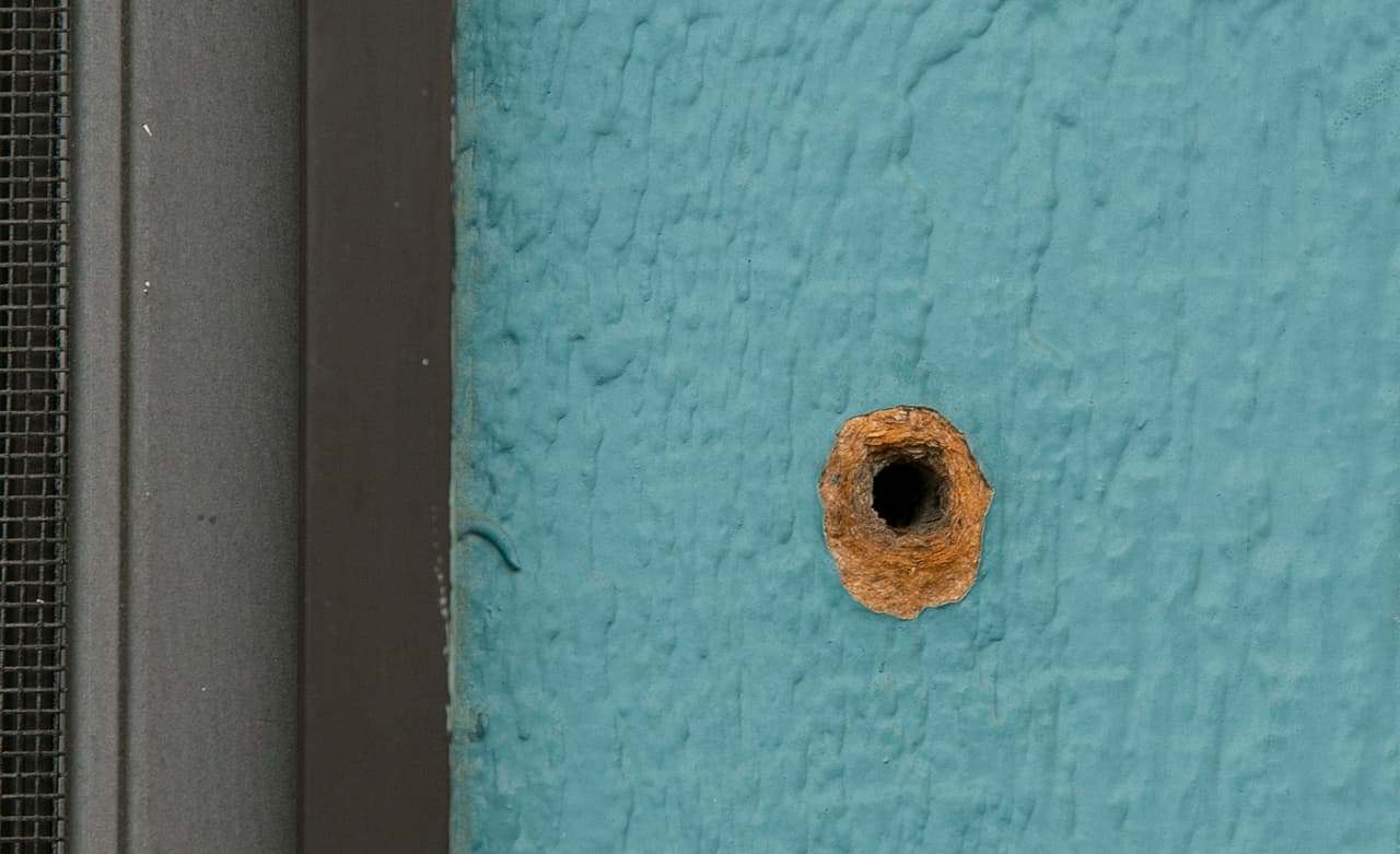 Uno de los agujeros de bala en la escuela primaria Rancho Tehama. Kevin Neal hirió a 15 personas, cinco de ellas de muerte, en siete lugares distintos en su comunidad.