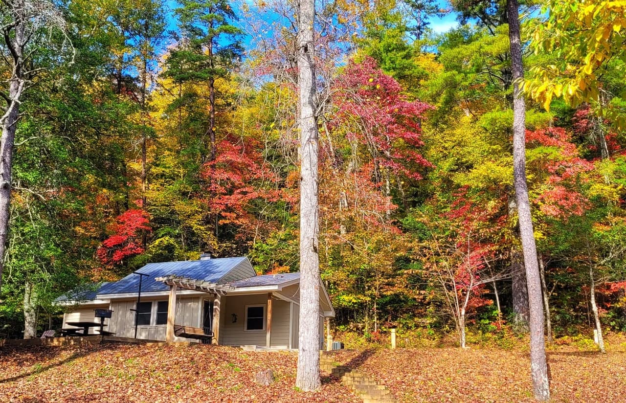 <b><a href="https://gastateparks.org/Vogel" target="_blank">Cabins at Vogel State Park (Blairsville)</a></b>: Generaciones de amantes de los parques han crecido alquilando las pintorescas cabañas en Vogel State Park, uno de los primeros parques estatales de Georgia. Rodeado de senderos para caminatas excepcionales y un pequeño lago de montaña, las cabañas de uno y dos dormitorios en Vogel fueron construidas en la década de 1930 y han conservado su encanto histórico mientras lucen nuevas comodidades.