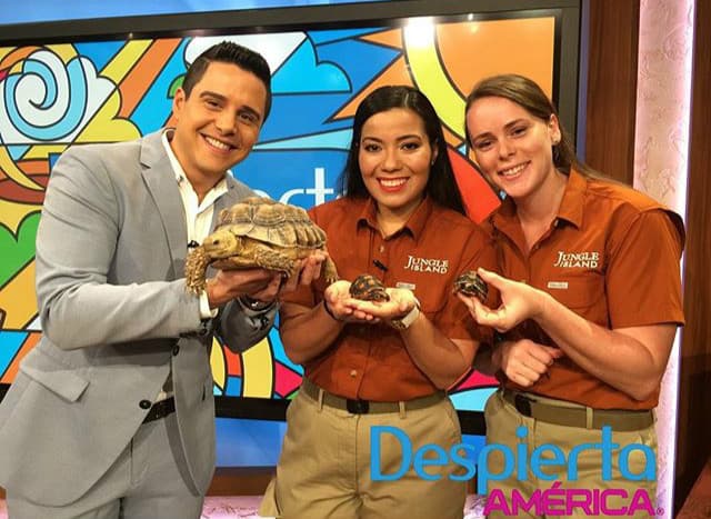 ¡Llegaron los animales más lindos a la casita! (3 de marzo, 2016)