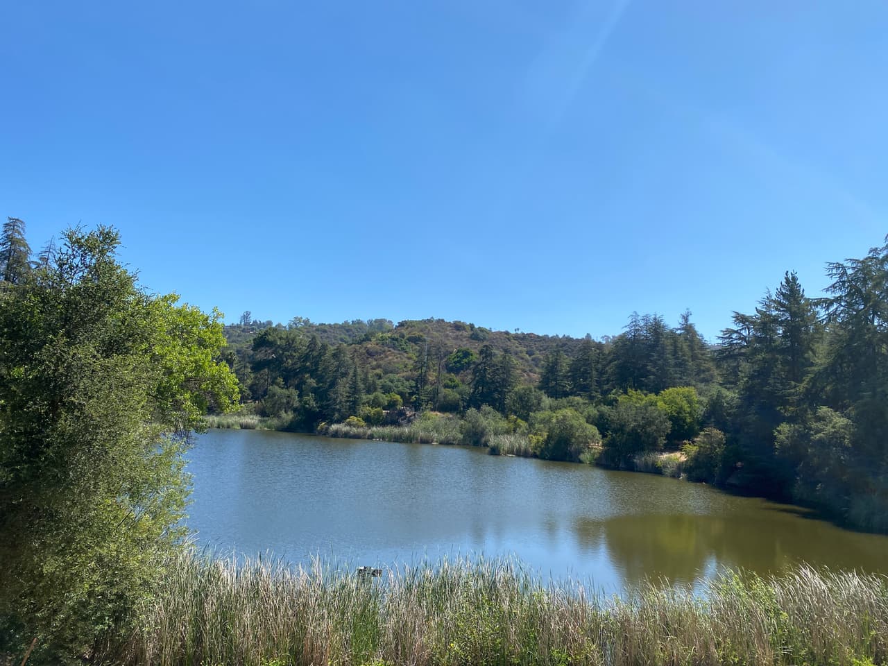Las familias disfrutan del recorrido a través del lago con los más pequeños de la casa. La ruta es fácil y tiene varios descansos.
<br>