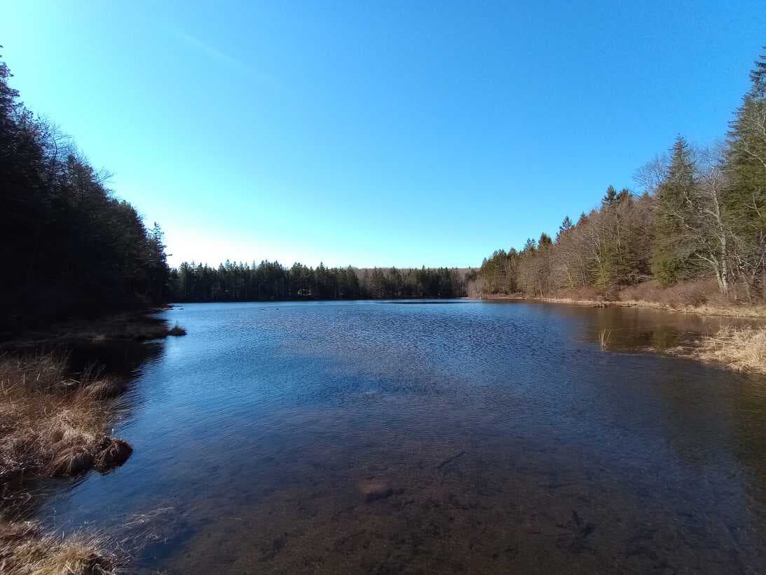 <a href="https://www.univision.com/local/philadelphia-wuvp/mejores-parques-para-visitar-en-pensilvania-durante-la-primavera-2023-fotos"><b>Relacionado: Estos son los mejores parques para visitar en Pensilvania durante la primavera 2023</b></a>