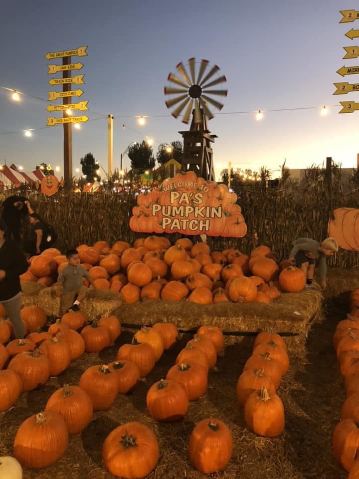 <b><a href="https://www.paspumpkinpatch.com/" target="_blank">Pa’s Pumpkin Patch </a></b>
<br>La feria regresa a la ciudad de Long Beach desde el 1 y hasta el 30 octubre. 
<br>Dirección: 6701 E. Pacific Coast Highway, Long Beach en el condado de Los Ángeles.