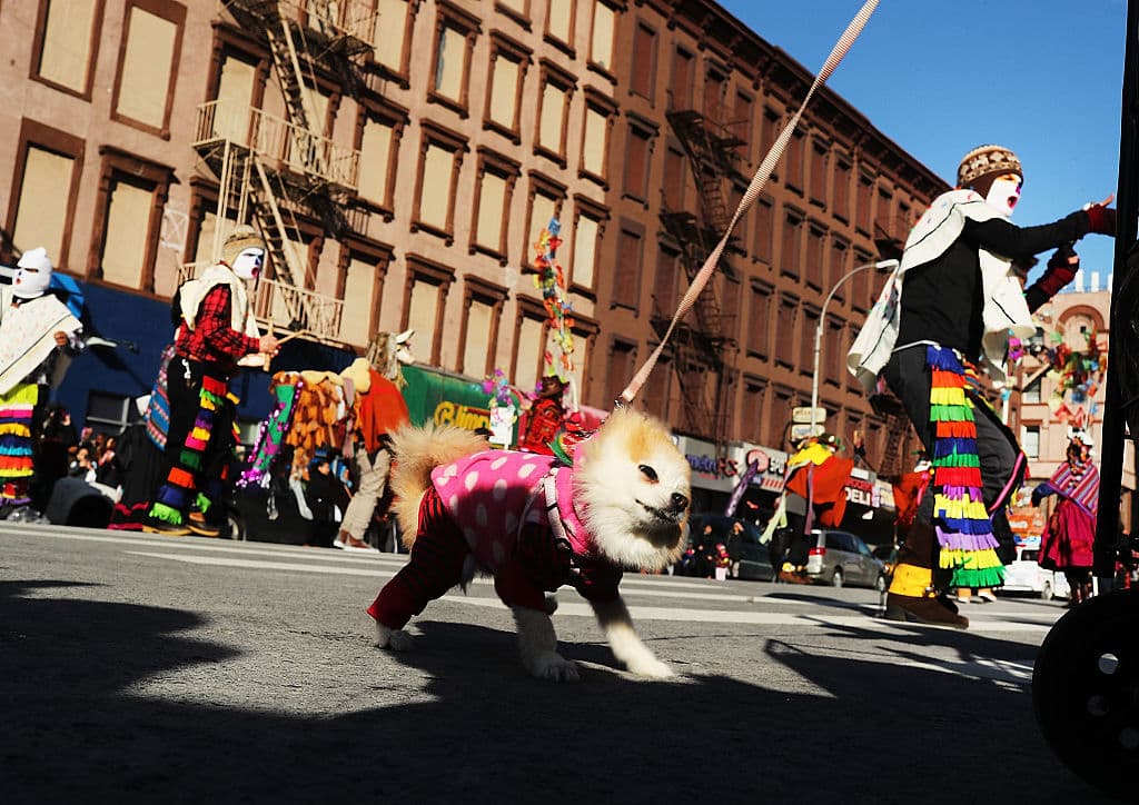 Al evento llegaron políticos como el congresista Adriano Espaillat, el alcalde Bill de Blasio y la presidenta del Concejo Municipal, Melissa Mark Viverito.