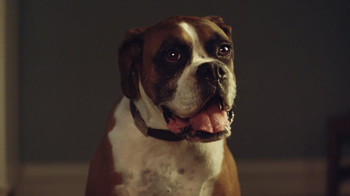 El comercial navideño más popular y ¿controversial? de la temporada