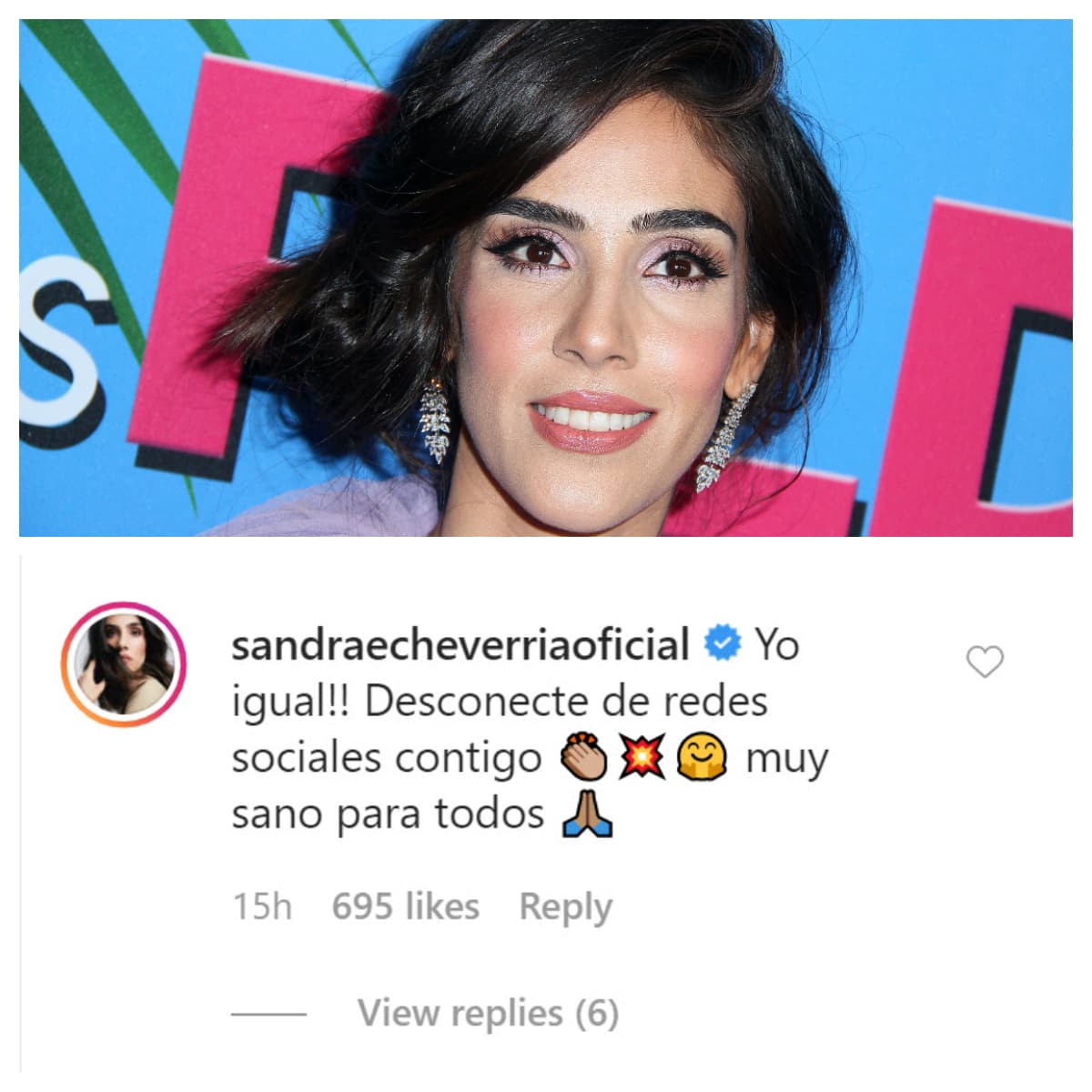 Ante su despedida de las plataformas virtuales, 
<b><a href="https://www.univision.com/famosos/asi-aislinn-derbez-y-sandra-echeverria-desmienten-en-las-redes-que-sean-rivales-fotos" target="_blank">Sandra Echeverría se mostró solidaria</a></b> y le contestó que ella también se alejaría. Esto no ha ocurrido, ya que además de publicar las aclaraciones respecto a su situación con Aislinn Derbez y Mauricio Ochmann, también ha compartido cómo pasa la cuarentena, entre otros contenidos. 
<br>