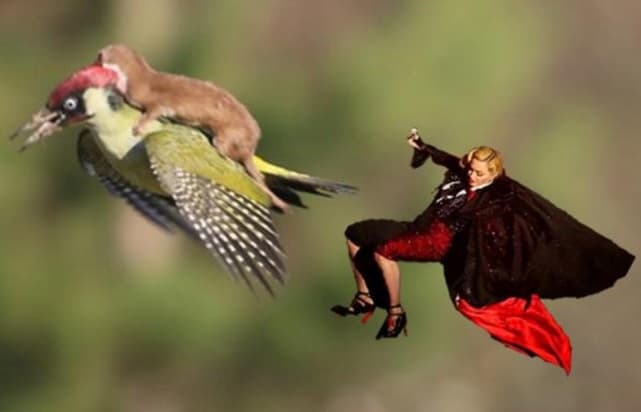 Unos eran en verdad creativos...