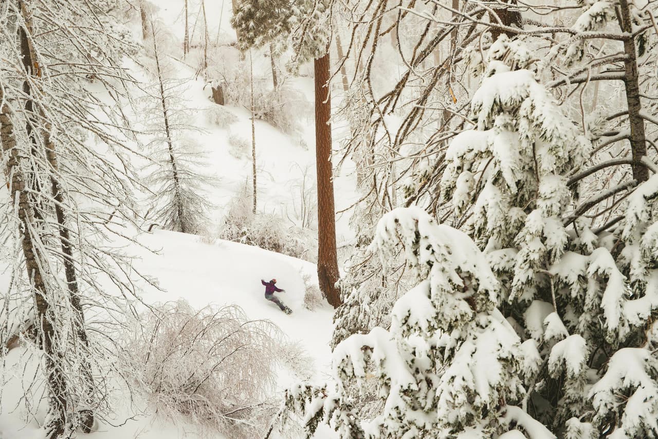 Durante la temporada de invierno 2018-2019 California reportó récords históricos de la cantidad de 
<a href="https://www.univision.com/local/los-angeles-kmex/en-fotos-cuanta-nieve-ha-caido-en-california-fotos">nieve </a>e n la región.