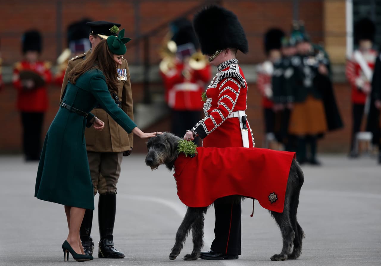 Un año antes, le puso una corona a un perro de la Guardia Real en el desfile del día de St Patrick.