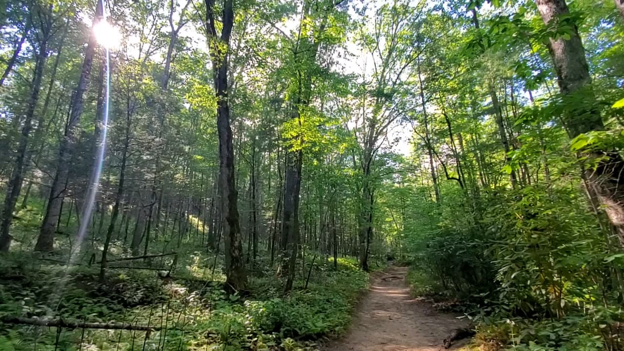 A poco menos de una milla al oeste, se encuentra el sendero Hemlock Falls.