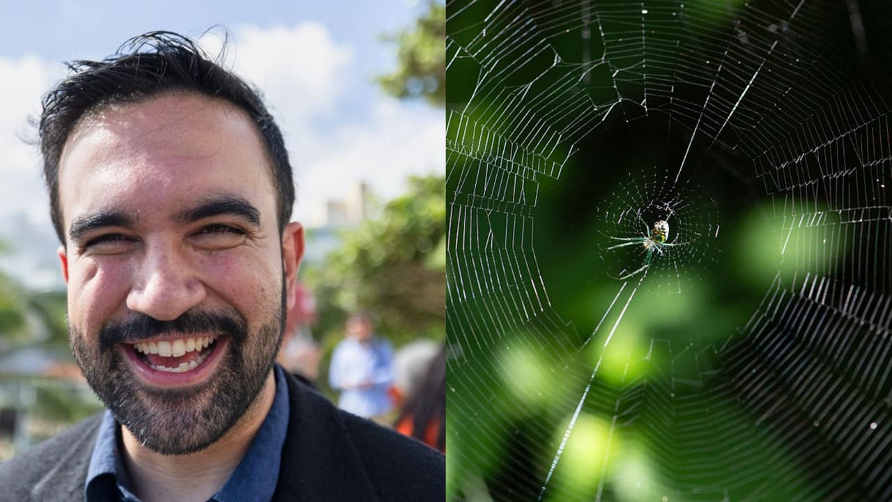 La semana en video: indemnización millonaria para inmigrantes y operativos de ICE en Houston con decenas de detenidos