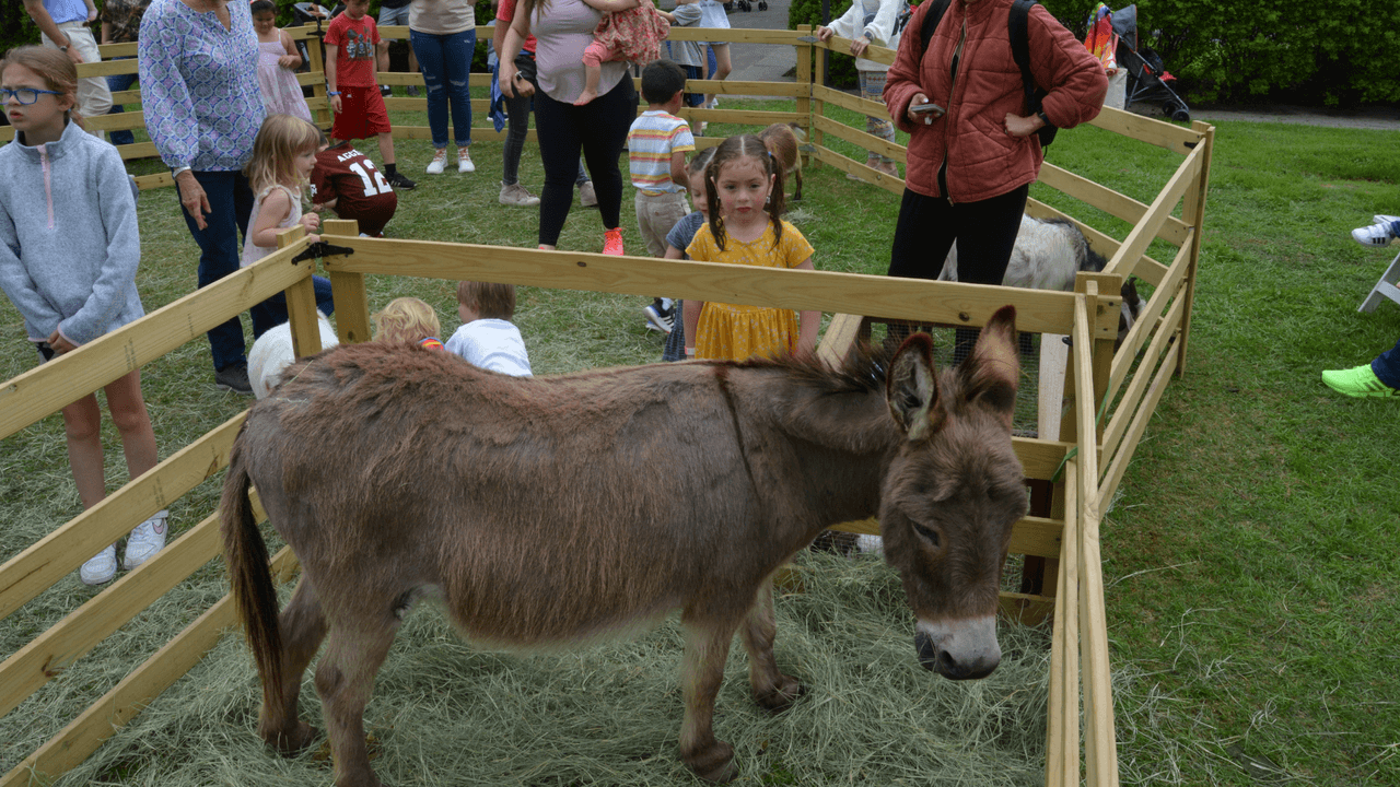Durante los fines de semana, los niños pueden disfrutar del zoológico donde se pueden tocar animales y participar en actividades de pintarse la cara. 
<br>
<br>También se incluyen programas con caminatas guiadas, pláticas con expertos y demostraciones de pájaros en vivo, anuncia el Arboretum.