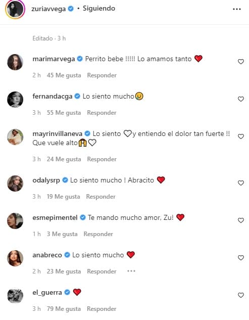 Ante el dolor de Zuria Vega, más de una decena de famosos reaccionaron lamentando su pérdida, entre ellas su hermana Marimar Vega. "Perrito bebé. Lo amamos tanto", escribió la actriz de 'El juego de las llaves'.