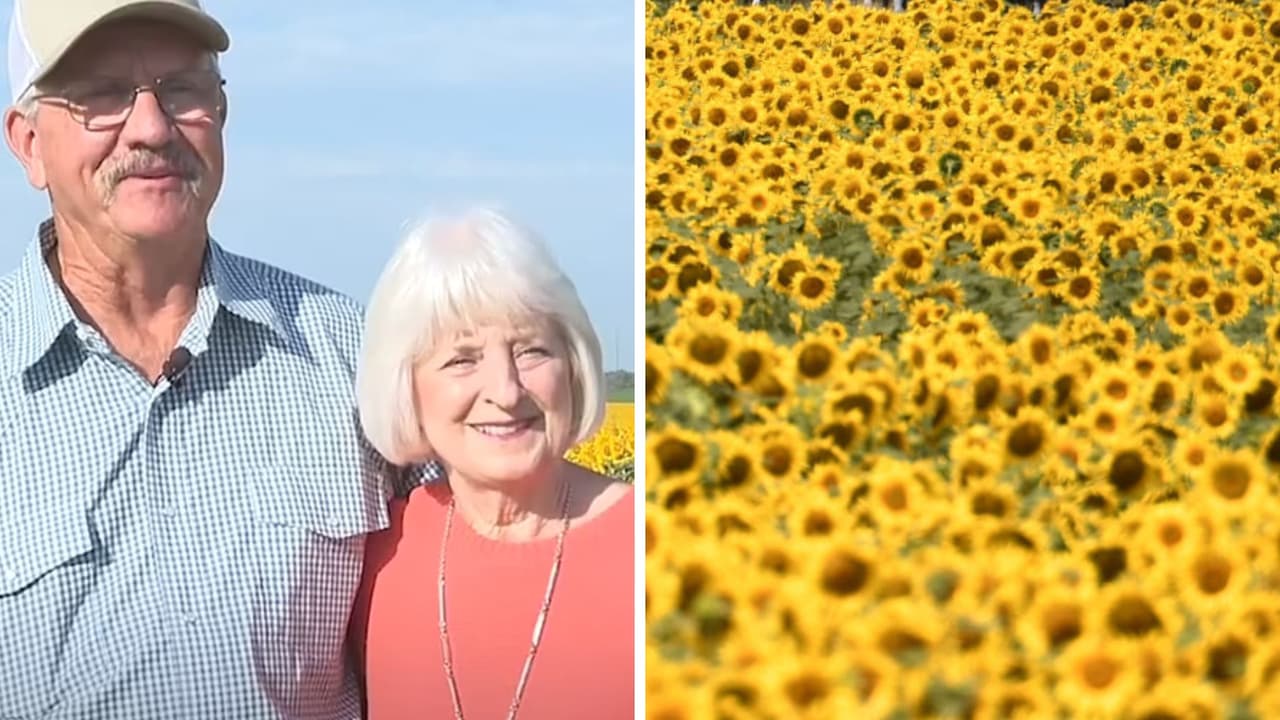 Su aniversario es el 10 de agosto