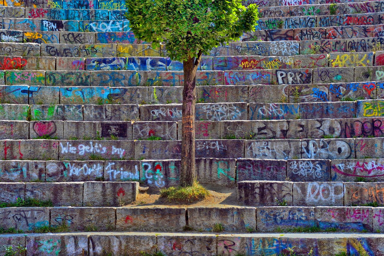 '
<b>Un árbol en el concreto’</b>. Finalista en la categoría 'naturaleza en mi puerta’. Fue tomada en Sierning, Austria. 
<a href="https://www.univision.com/noticias/medio-ambiente/te-retamos-a-no-reirte-el-concurso-de-fotografia-con-las-imagenes-mas-divertidas-de-animales-fotos"><u>Vea aquí el concurso de fotografía con las imágenes más divertidas de animales</u></a>