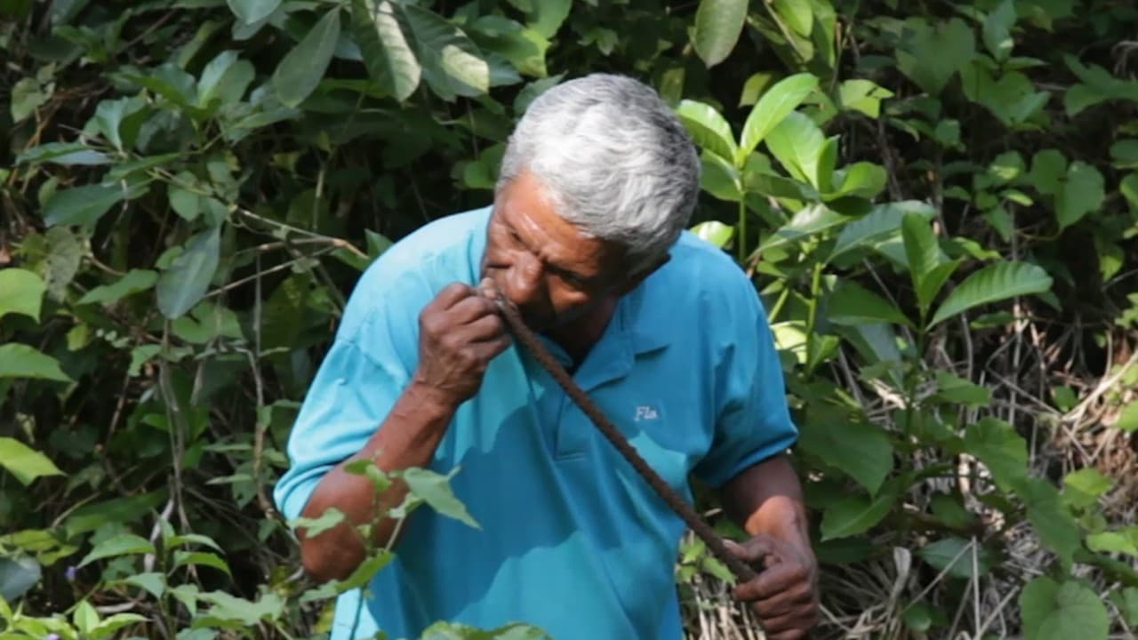 De albañil a buscador de cadáveres: el padre que encontró la mayor fosa clandestina de México