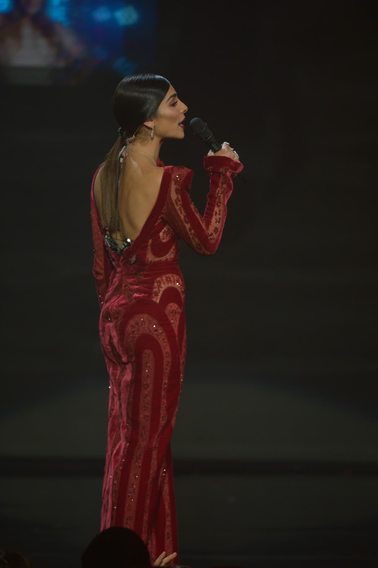 Detalles de la parte posterior de su vestido.