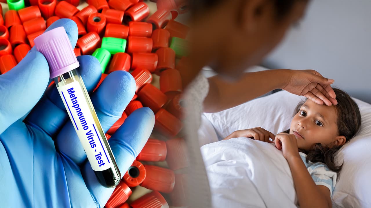 Metapneumovirus: a quiénes afecta y qué cuidados hay que tener para evitar contagiarse