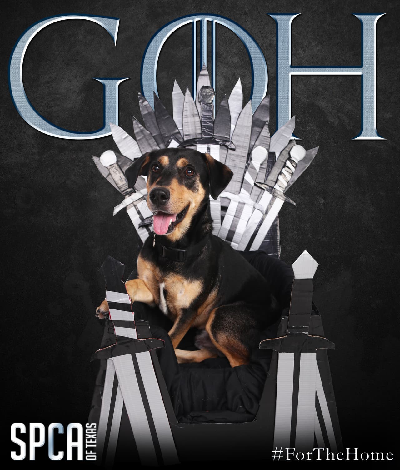 Los horarios de los refugios son desde el mediodía hasta las 6 p.m. De domingo a miércoles y de mediodía a 7 p.m. Jueves a sábado.