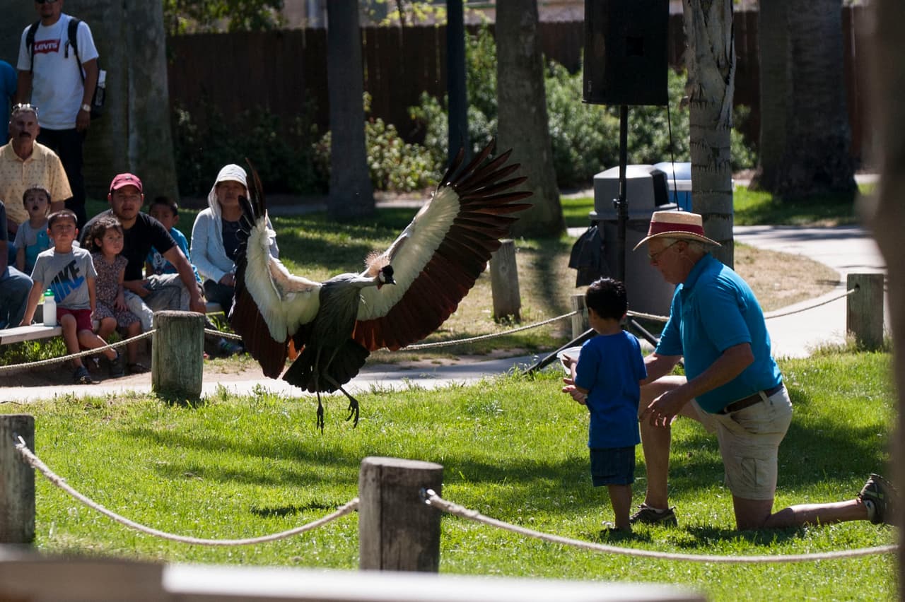 Un bello dia fue perfecto para las familias desde Bakersfield a Modesto.