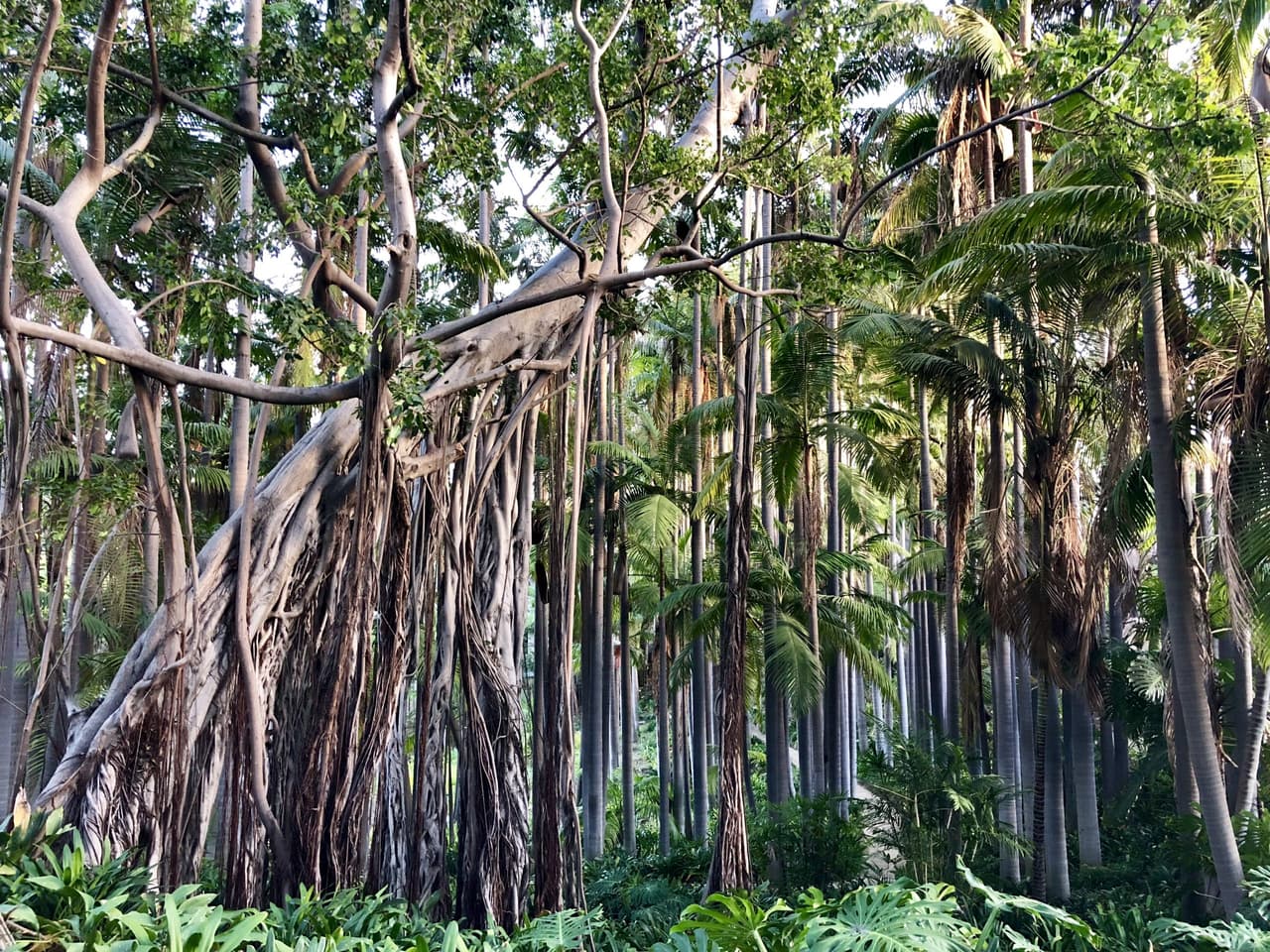 Las visitas son guiadas y los costos para entrar incluyen: adultos: $15,00, personas de la tercera edad (mayores de 62 años): $11,00, estudiantes: $11,00, niños (de 5 a 12 años): $6,00.