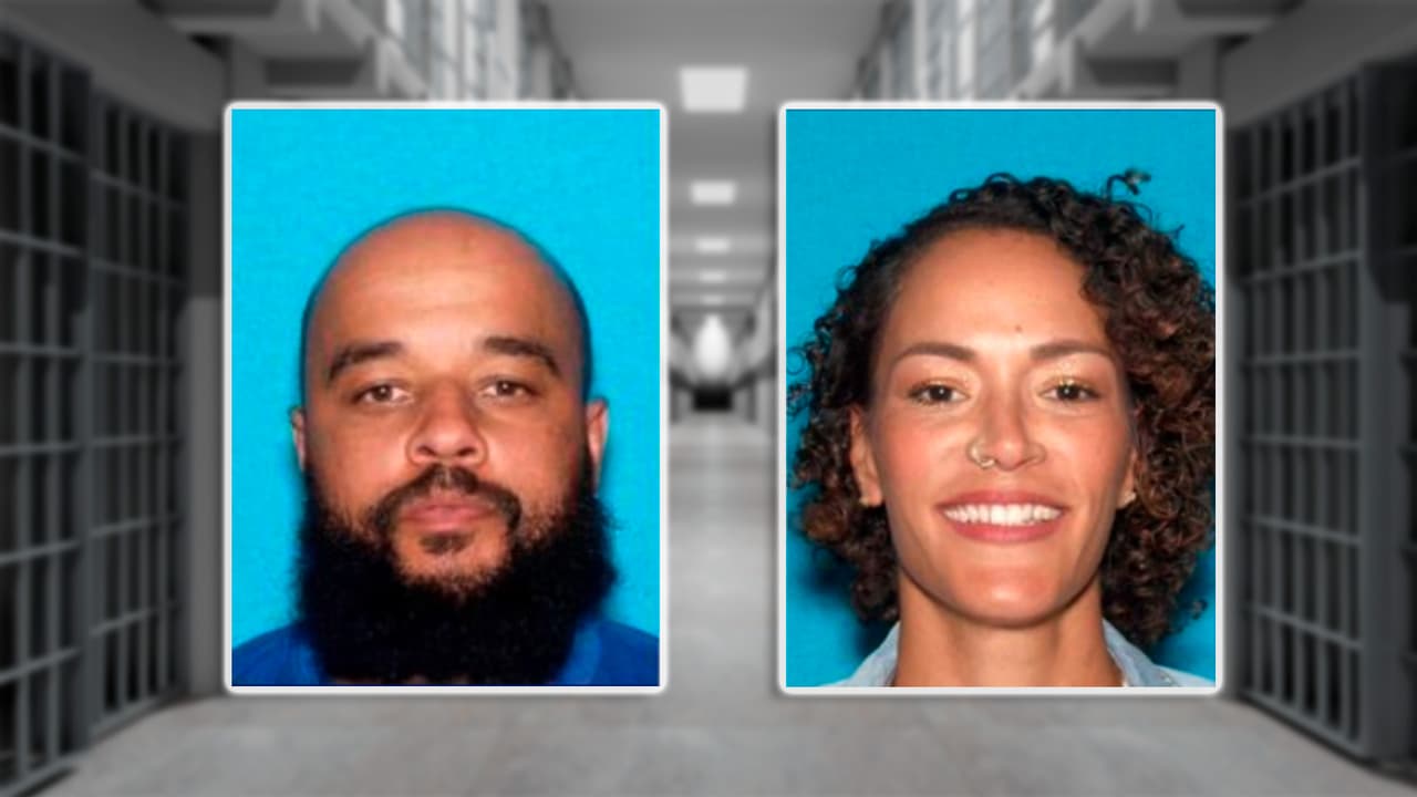 Exesposa arrestada por el asesinato del Dr. Hamid Mirshojae tras años de conflictos legales