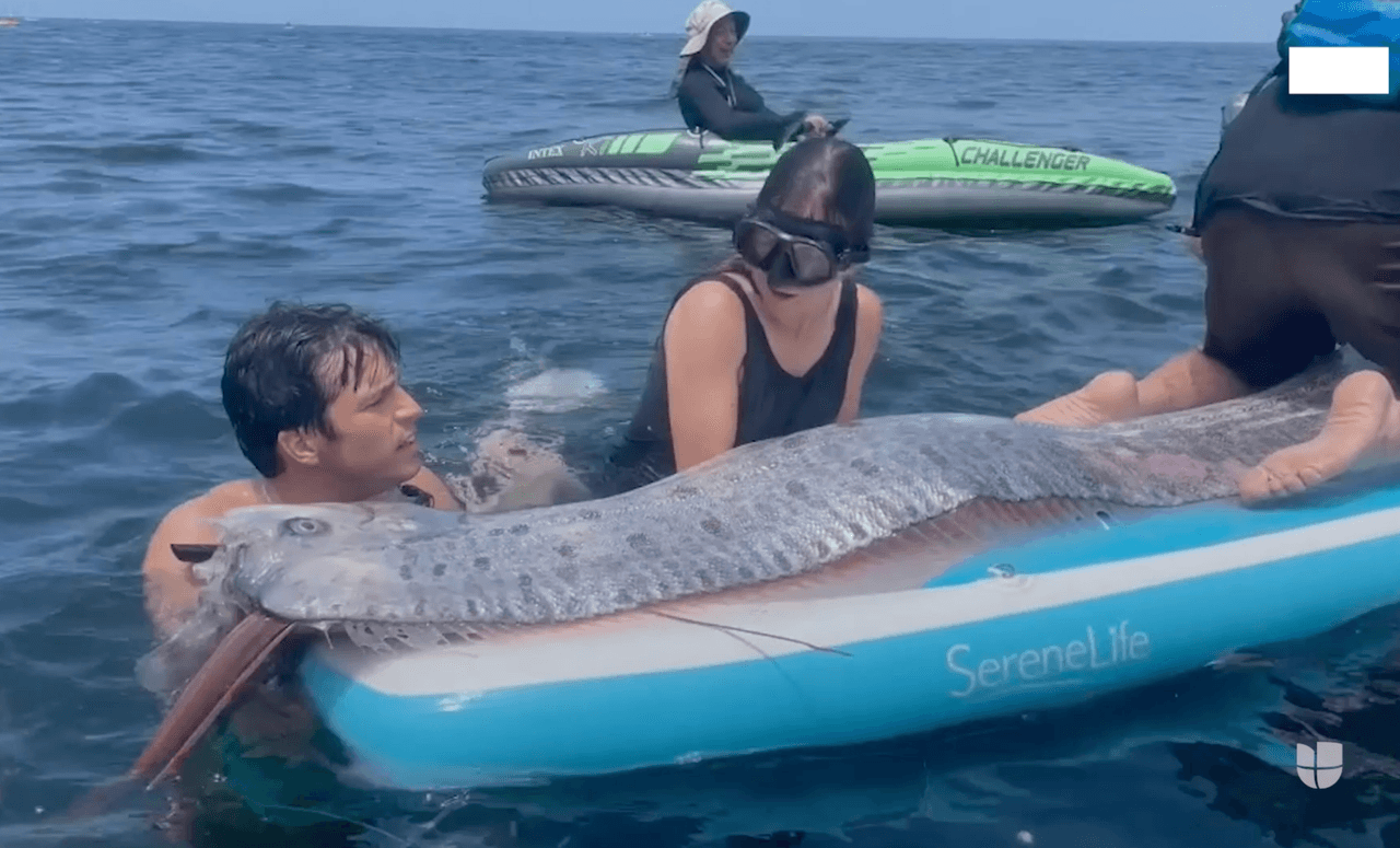 Un Pez del Fin del Mundo es encontrado en playa de California 