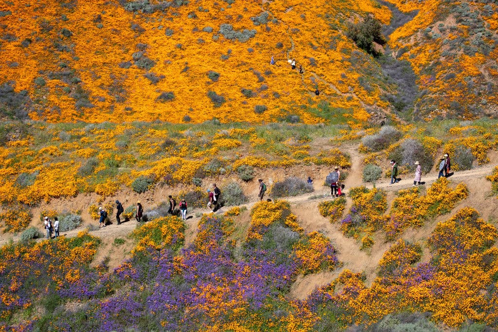 "Siempre que paso por aquí, se mira seco, pero hoy me llamó la atención el color", comentó un visitante.