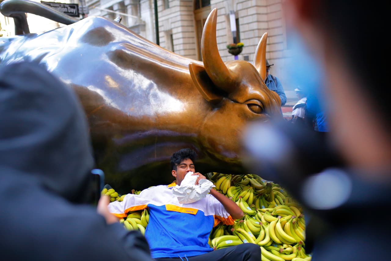 Desde entonces, el difunto simio se ha convertido en una figura de culto, inspirando miles de memes en Internet.