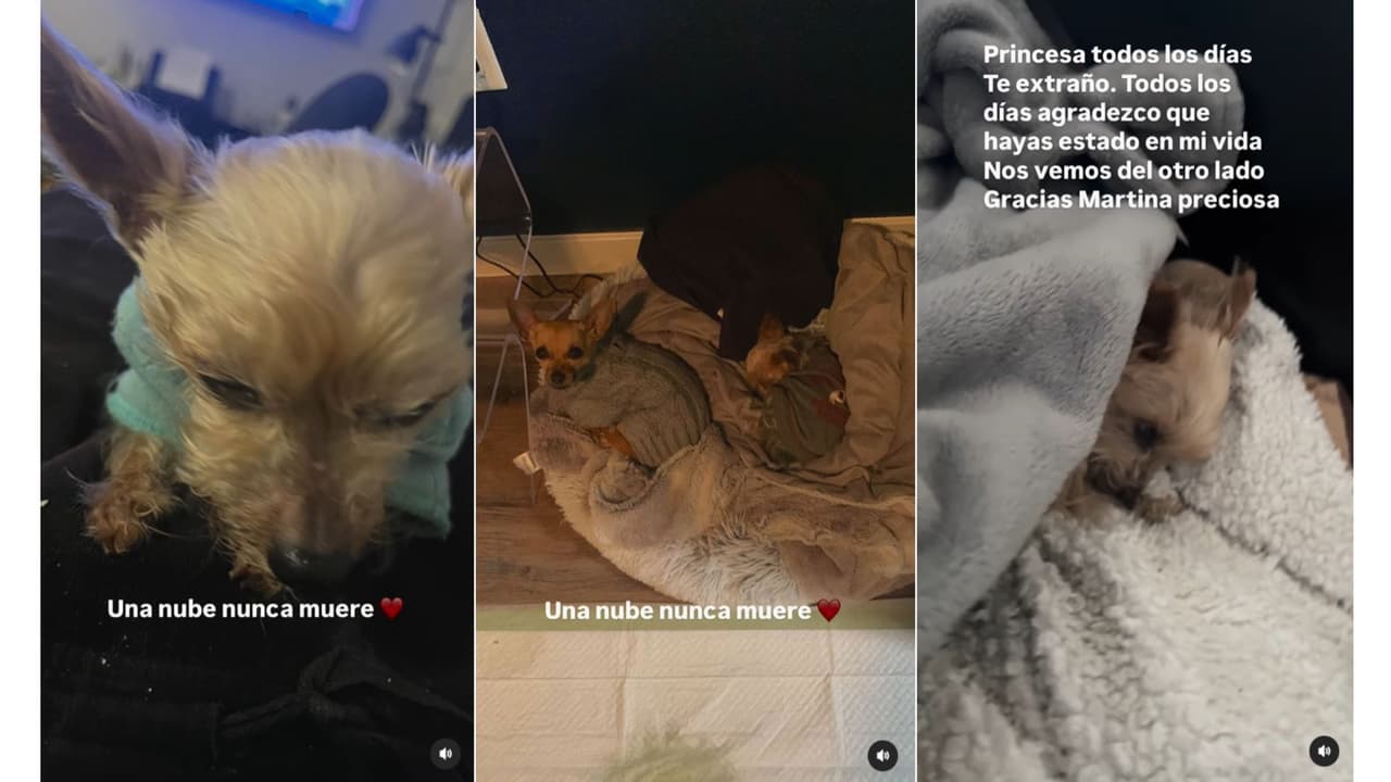 Martina ayudó a Kuno Becker a salir de las drogas y de una fuerte depresión.