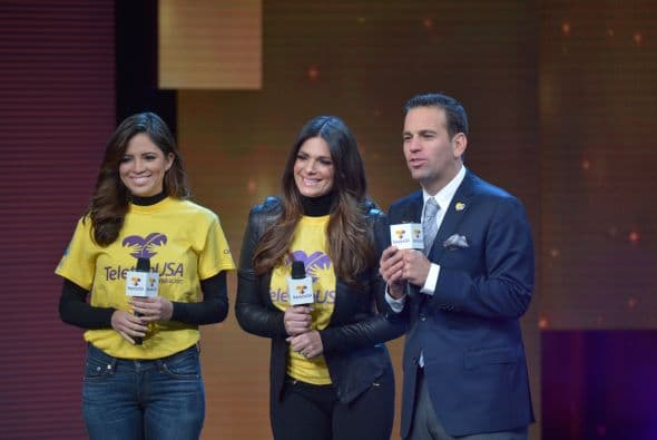 Teleton 2014