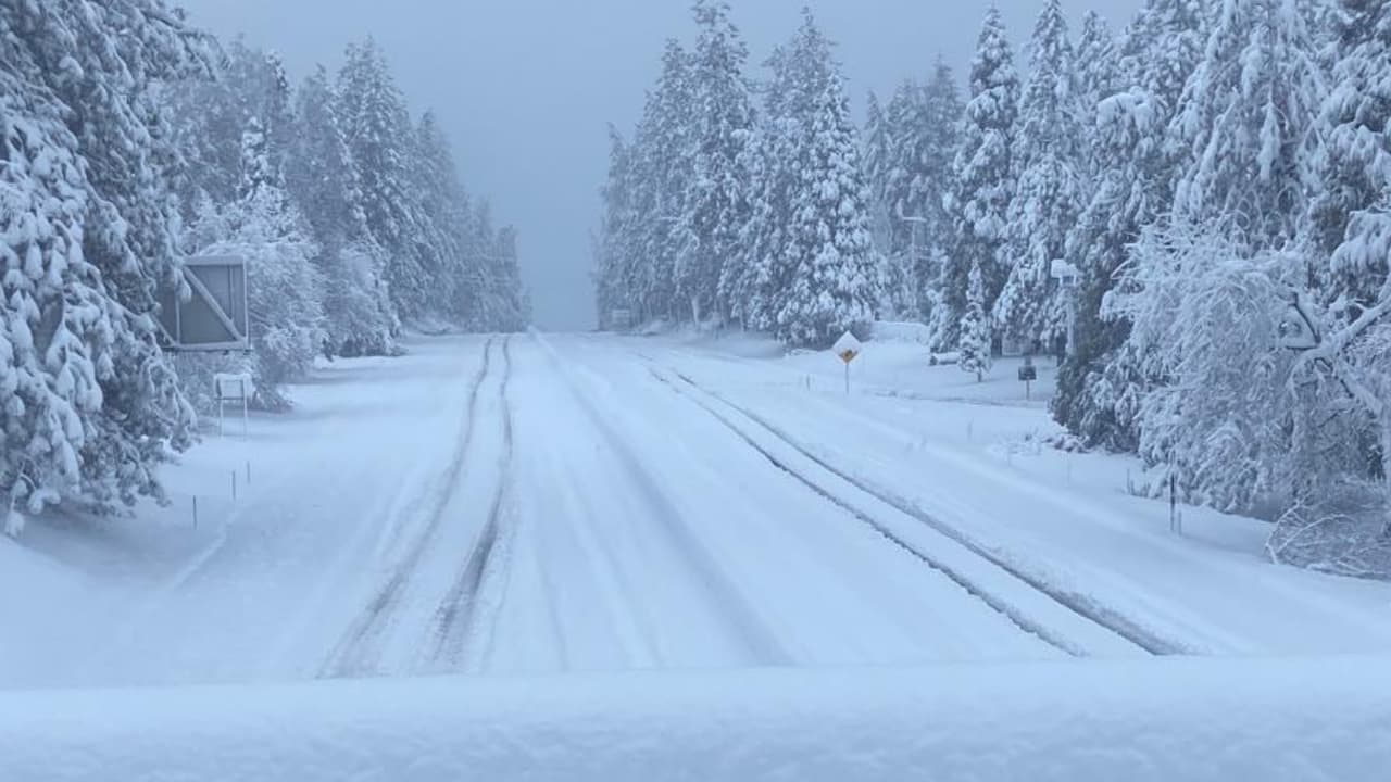 Caltrans pide a los conductores no confiar en sistemas de GPS durante las tormentas, ya que no cuentan con la información actualizada. La agencia ofrece una
<a href="https://roads.dot.ca.gov/roadscell.php" target="_blank">página de internet donde se puede revisar el estado de las autopistas y carreteras</a>.