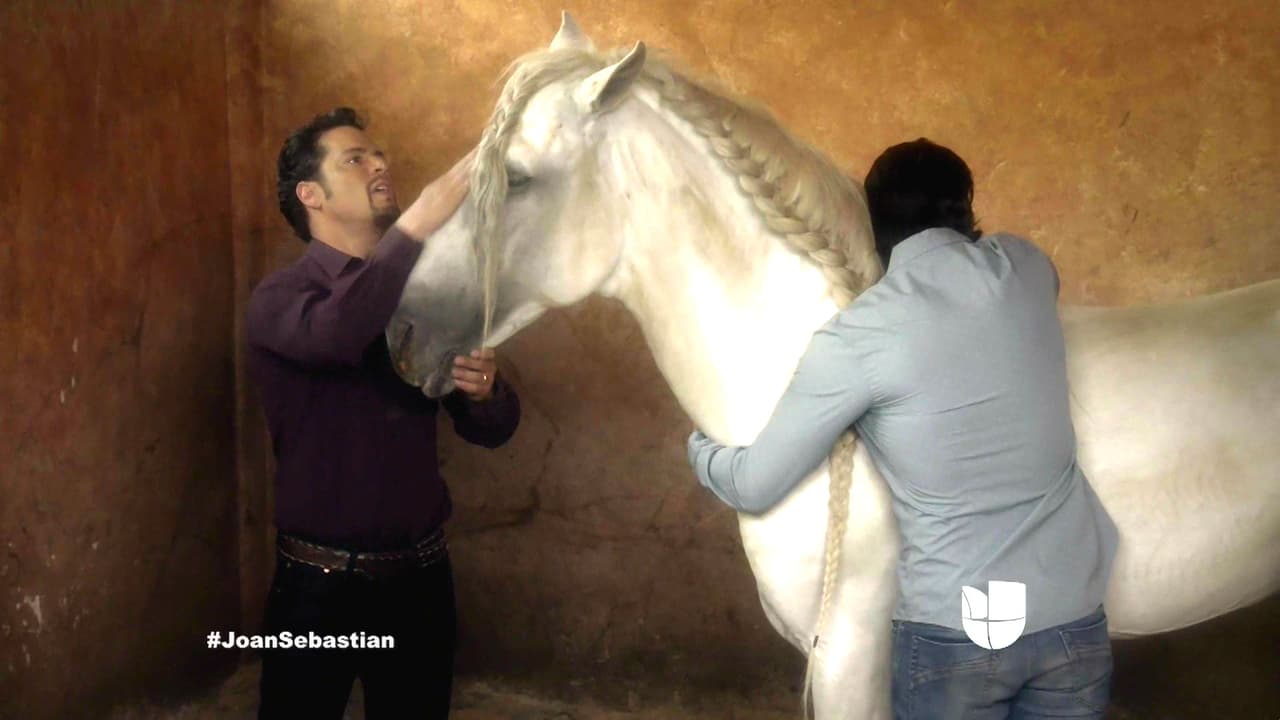 Los médicos veterinarios no le daban otra esperanza.