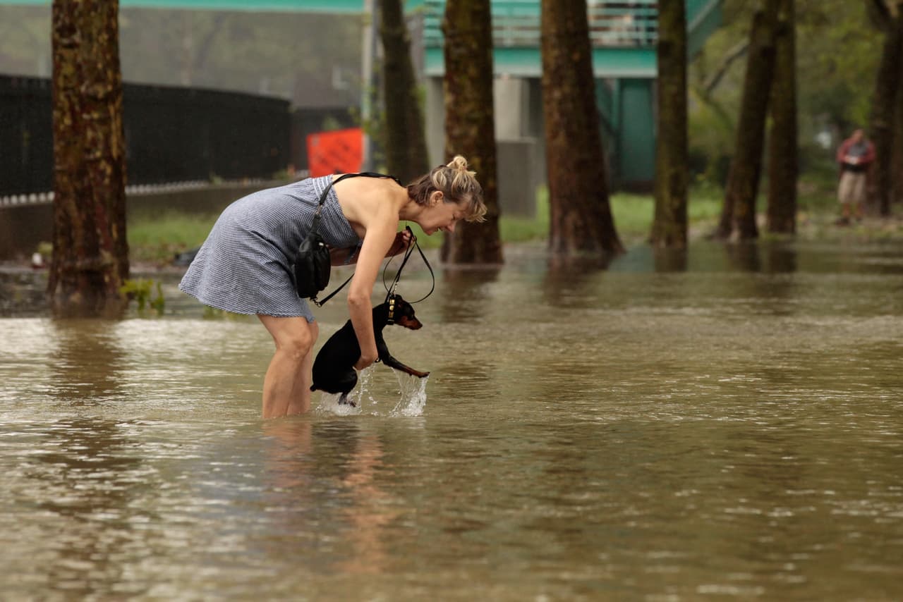 Si ves cables eléctricos caídos, no te acerque a ellos. Nunca intentes moverlos ni tocarlos con ningún objeto. Ten en cuenta que las ramas de los árboles, las hojas o el agua pueden cubrir los alambres caídos a la vista. Siempre mantente alejado de las líneas eléctricas caídas porque podrían estar en funcionamiento.
<br>