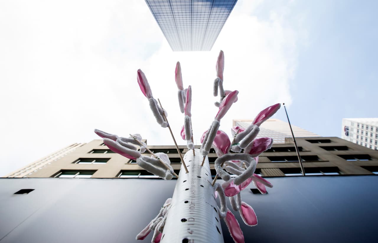 Un poste con decenas de orejas de conejo fue colocado en la 5ª Avenida