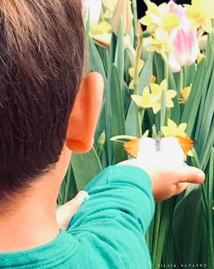 El pasado 6 de septiembre, León celebró su cumpleaños número 4 y la actriz compartió esta fotografía para conmemorarlo en las redes sociales con el mensaje: "La magia de la vida. Gracias".